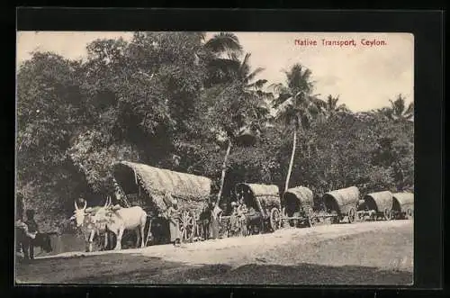 AK Ceylon, Native Transport