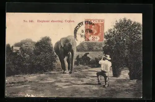 AK Ceylon, Elephant shooting