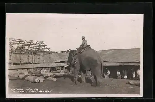 AK Rangdon, Elephant Working in Timber Yard