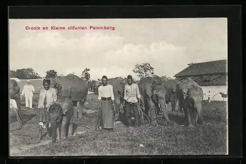 AK Palembang, Groote en kleine Olifanten