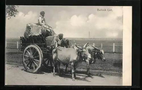 AK India, Bullock Cart