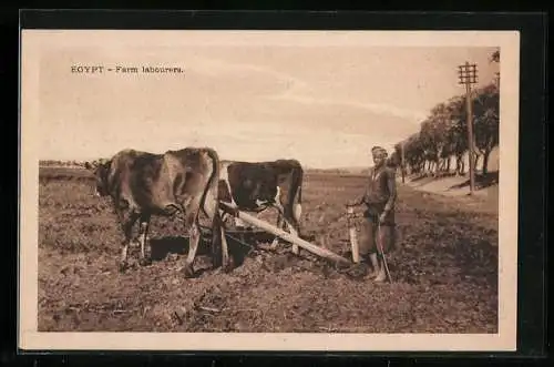 AK Egypt, Farm Labourers