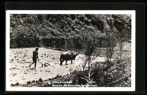 AK Banaut /Philippines, Ifugao Farmer