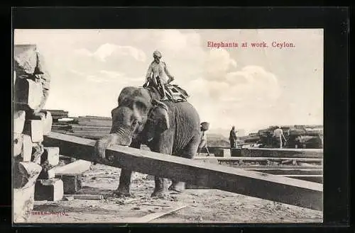 AK Ceylon, Elephants at Work, Construction Site