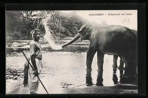 AK Colombo / Ceylon, Elephants au bain