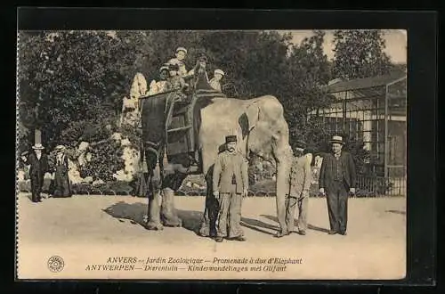 AK Anvers, Jardin Zoologique, Promenade à dos d`Elephant