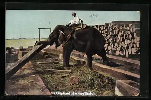 AK Arbeits-Elefant beim Holztransport