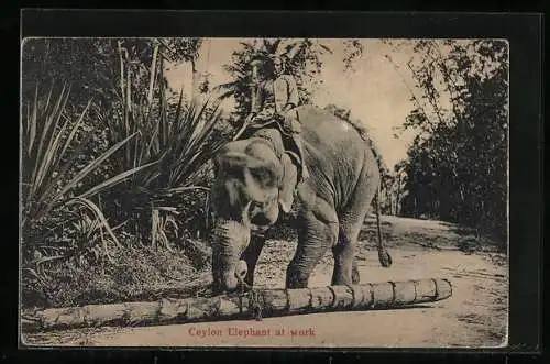 AK Ceylon, Elephant at Work