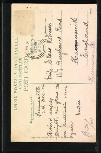 AK Colombo, Arbeitselefant mit Führer, Baumstamm