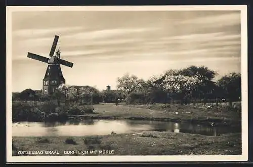 AK Graal, Dorfteich mit Windmühle