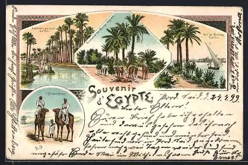 Lithographie Suez, Palmiers au bord du Nil, Fontaine de Moise au Suez, Caire: Nil de Boulaq