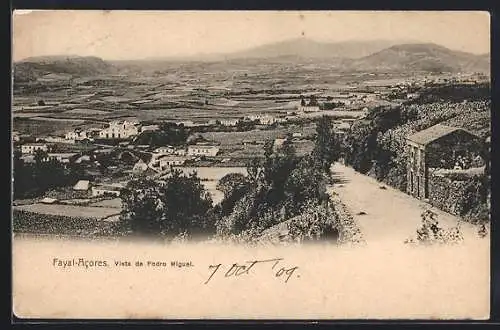 AK Pedro Miguel /Fayal-Acores, Gesamtansicht aus der Vogelschau