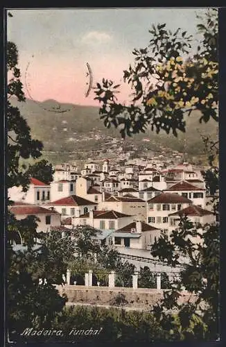 AK Funchal /Madeira, Teilansicht mit Bergblick