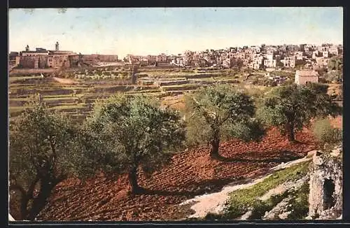 AK Bethlehem, General View