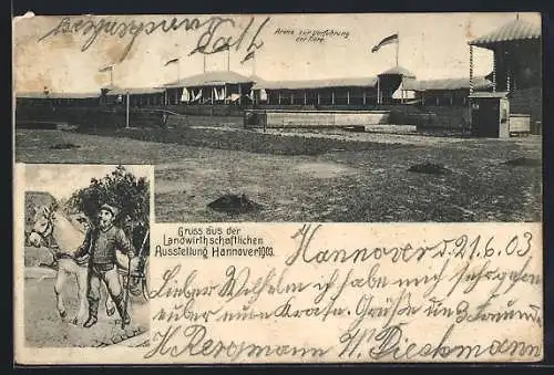 AK Hannover, Landwirtschaftliche Ausstellung 1903, Arena zur Vorführung der Tiere