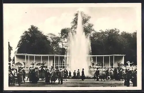 AK Dresden, Gartenbau-Ausstellung 1926 - Rosenhof mit Leuchtspringbrunnen