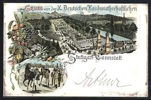 Lithographie Stuttgart-Cannstatt, X. Deutsche Landwirtschaftliche Ausstellung, Ausstellungsgelände