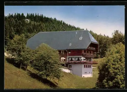 AK Hornberg /Schwarzwaldbahn, Höhen-Gasthaus Schöne Aussicht v. Herbert Duffner