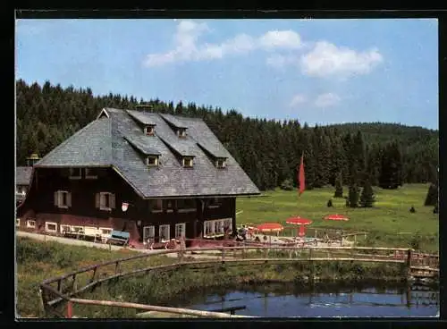 AK Schönwald / Schwarzwald, Naturfreundehaus Küferhäusle mit Terrasse