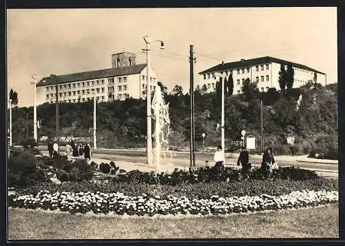 AK Nordhausen, Rautenstrasse mit Blick zum Petersberg