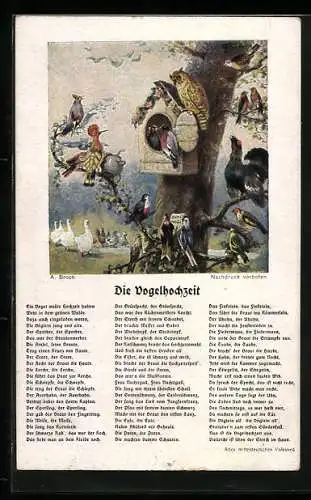 AK Bunte Vogelschar mit Eule, Text Vogelhochzeit