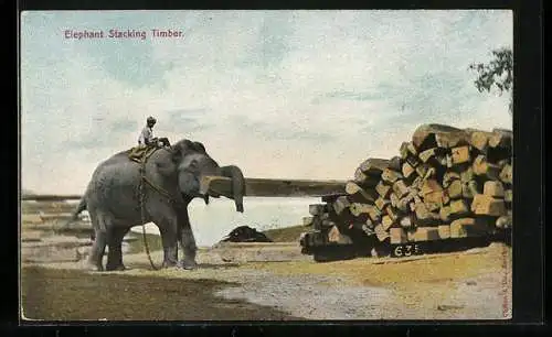 AK Elephant stacking Timber