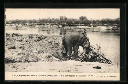 AK Elefant arbeitet am Flussufer