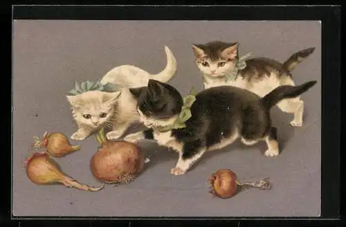 Lithographie drei Katzen spielen mit Zwiebeln