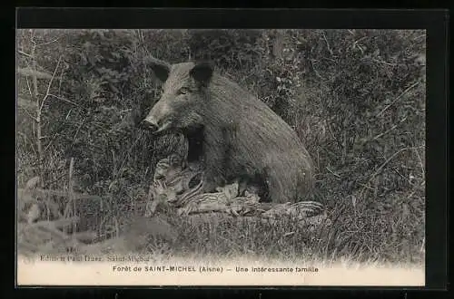 AK Saint-Michel /Aisne, Foret de Saint-Michel, Une interessante famille