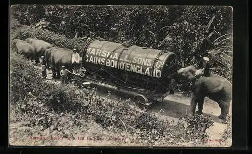 AK Ceylon, Sending boiler to a tea factory