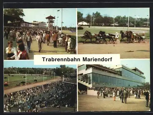 AK Berlin-Mariendorf, Pferderennen auf der Trabrennbahn, Ansichten der Tribünen, Pferdesport