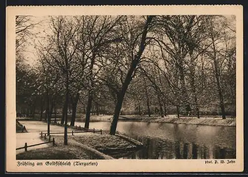 AK Berlin-Tiergarten, Frühling am Goldfischteich im Tiergarten