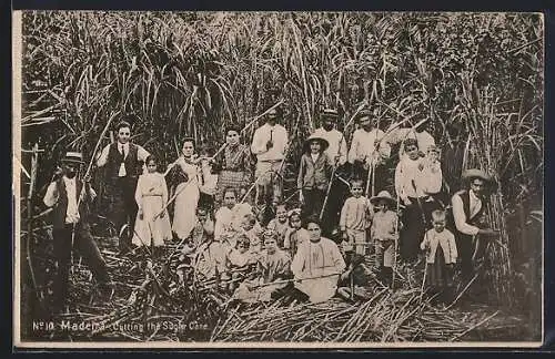 AK Madeira, Cutting the Sugar Cane