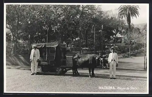 AK Madeira, Carro de bois