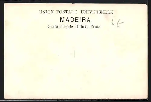 AK Madeira, Corca de Bois, Ochsengespann