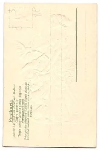 Präge-Airbrush-AK Frau in langem Kleid, die Tauben aus einem Korb füttert