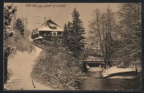 AK Erfurt, Die Nase im Winter