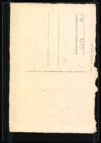 Künstler-AK Hameln a. d. Weser, Partie am Museum