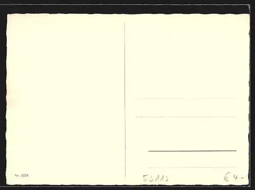 AK Bonn, Bundeshaus mit Strassenpartie