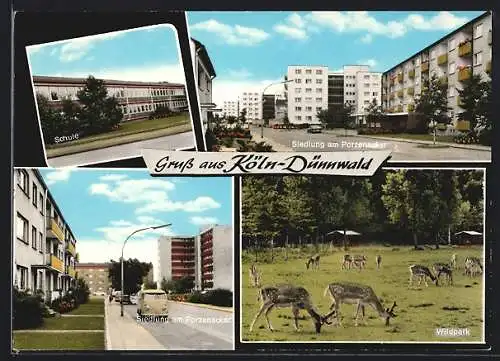 AK Köln-Dünnwald, Schule, Siedlung am Porzenacker, Wildpark