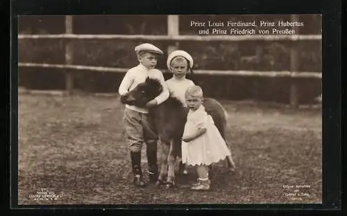 AK Prinz Friedrich Georg mit einem Pony und den Prinzen Louis Ferdinand und Hubertus