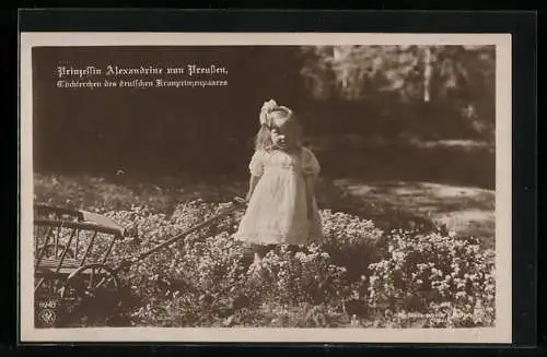 AK Prinzessin Alexandrine von Preussen auf einer Blumenwiese