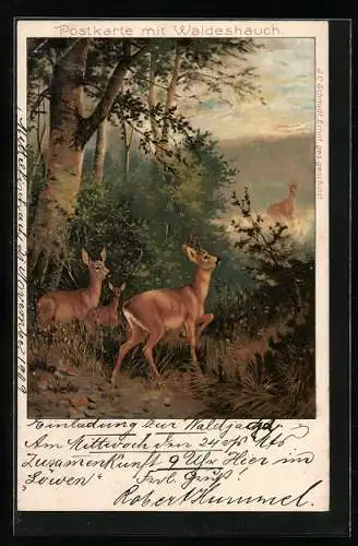 Duft-AK Rehbock und Rehe im Wald