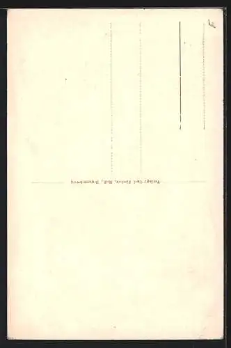 AK Braunschweig, Meinhardshof, Strassenpartie