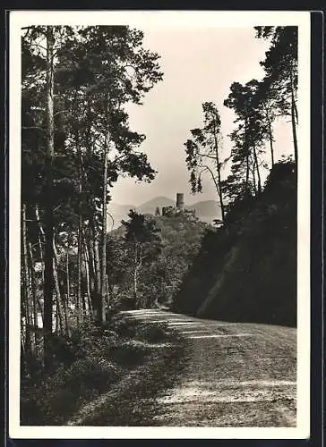 Foto-AK Deutscher Kunstverlag, Nr. Gb 2: Godesberg am Rhein, Blick auf die Burg vom Pionierweg aus