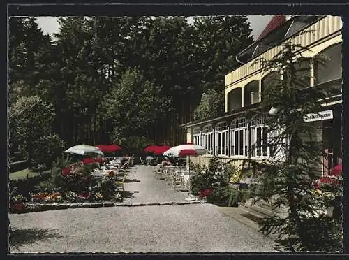 AK Hahnenklee /Oberharz, Hotel Der Waldgarten, Weissleder KG., Aussenansicht