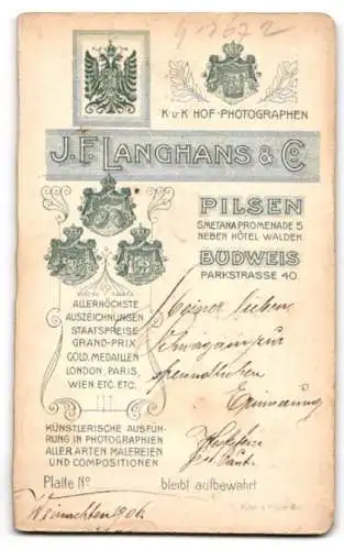 Fotografie J.F. Langhans & Co., Pilsen, Smetana Promenade 5, Porträt eines jungen Mannes im Anzug