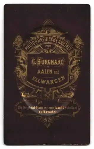 Fotografie C. Burghard, Aalen, Portrait eines Mannes mit Bart