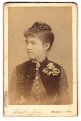 Fotografie Schmidt és Antal, Székesfehérvár, Korház utca 3, Portrait einer jungen Frau mit Blumenbrosche