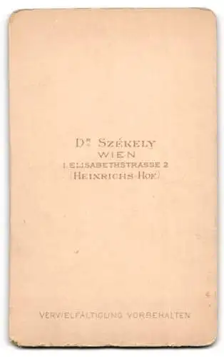 Fotografie Dr. Székely, Wien, Elisabethstrasse 2, Porträt eines Herrn mit Bart